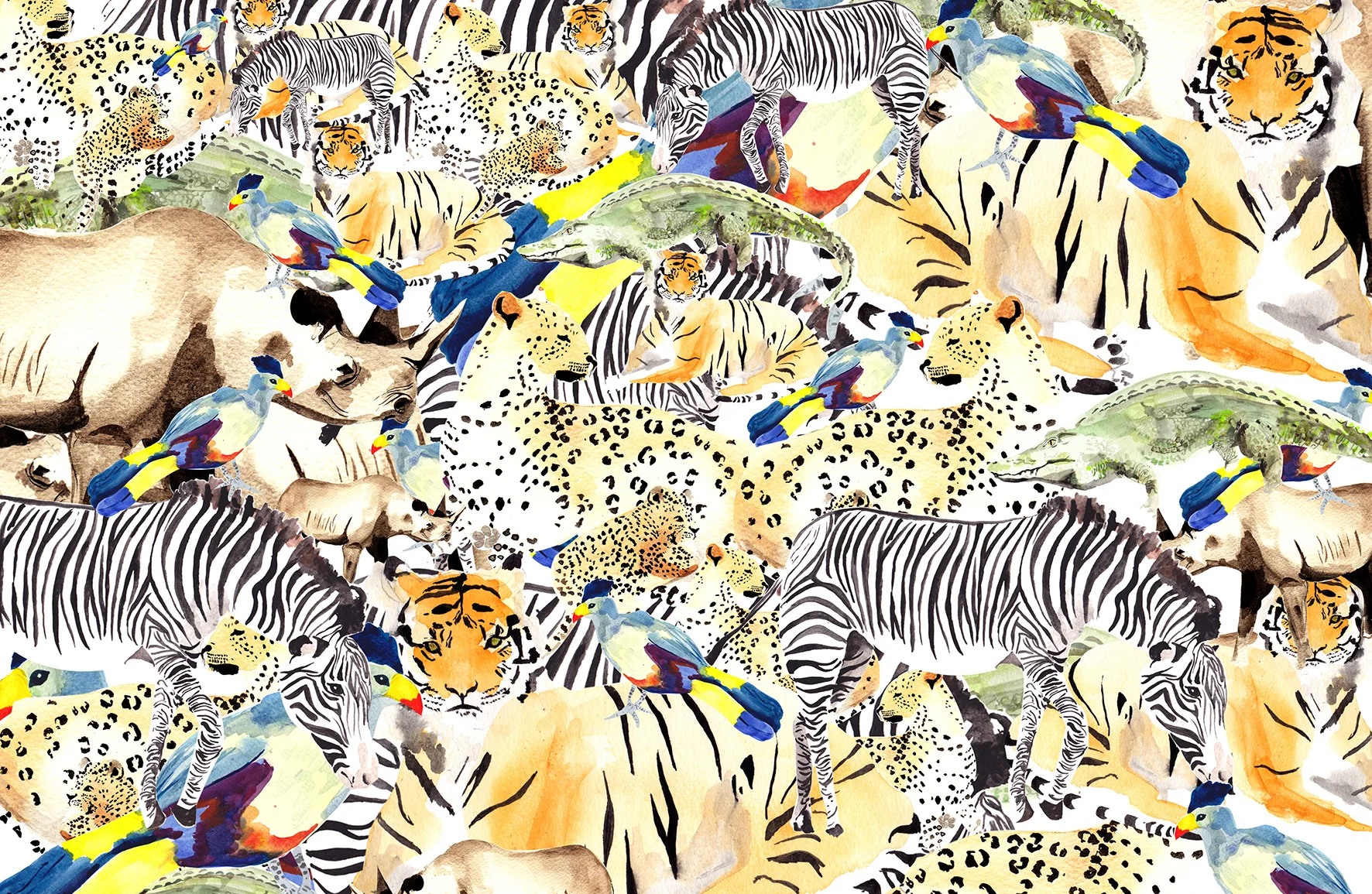 safari-webfriendly.jpg