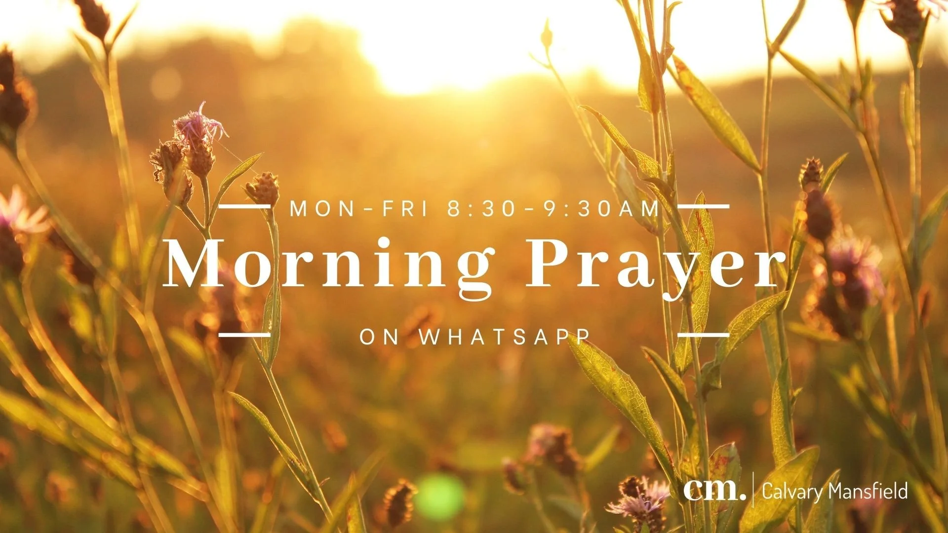 Copy of Morning prayer on Zoom.jpg