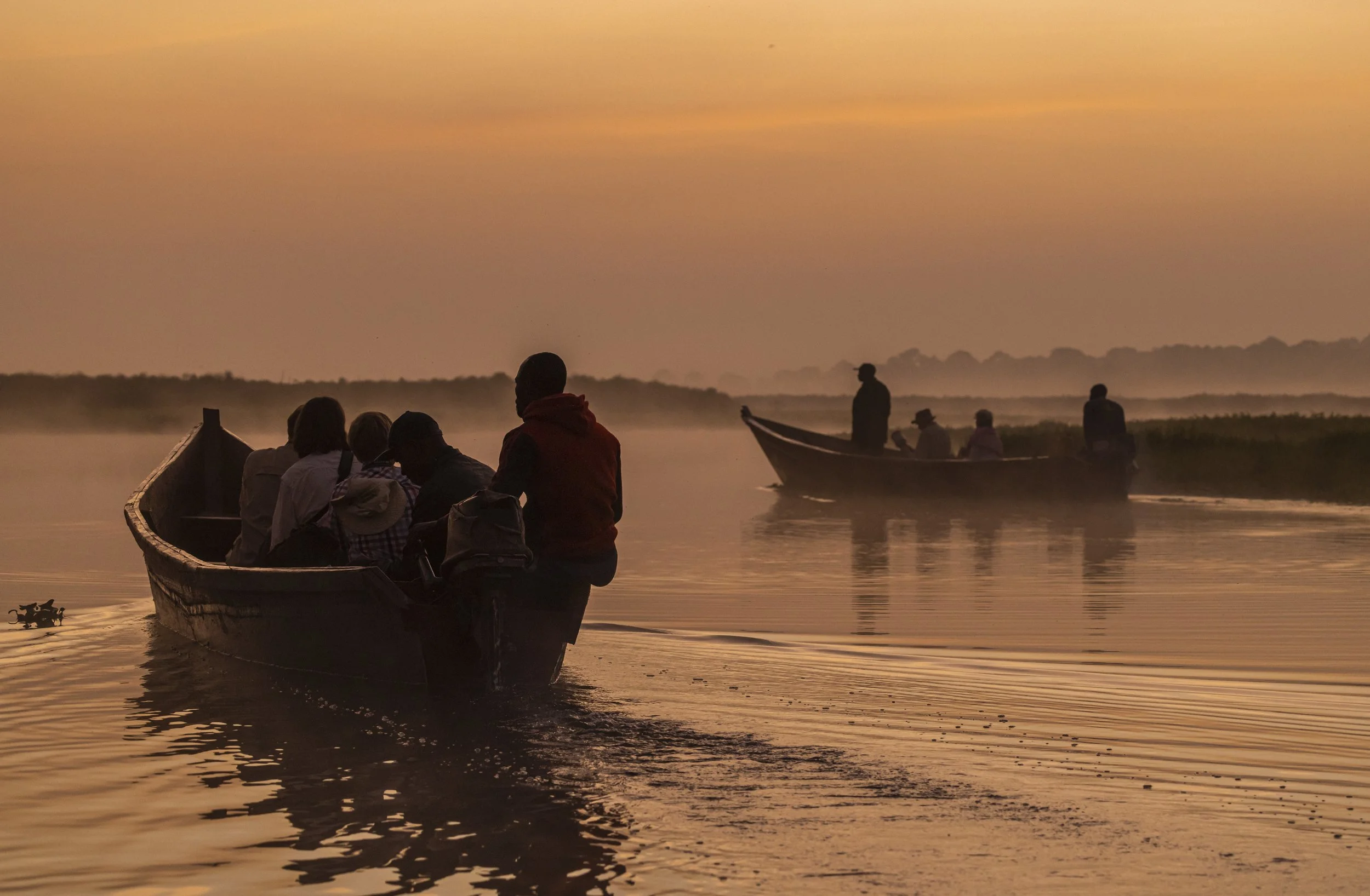 Uganda Mabamba Swamp — Lennart Ericsson