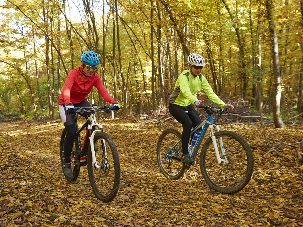 Jackyards-Mountain-Bikes.jpg