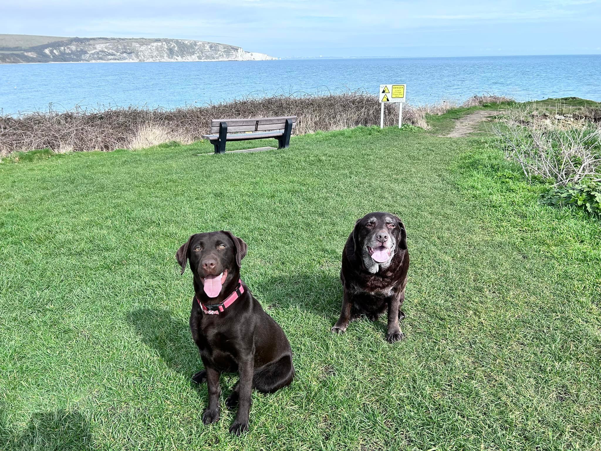 Such a wonderful walk with these two goons ❤️❤️❤️❤️