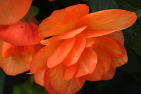 IMG_5213 small.jpg