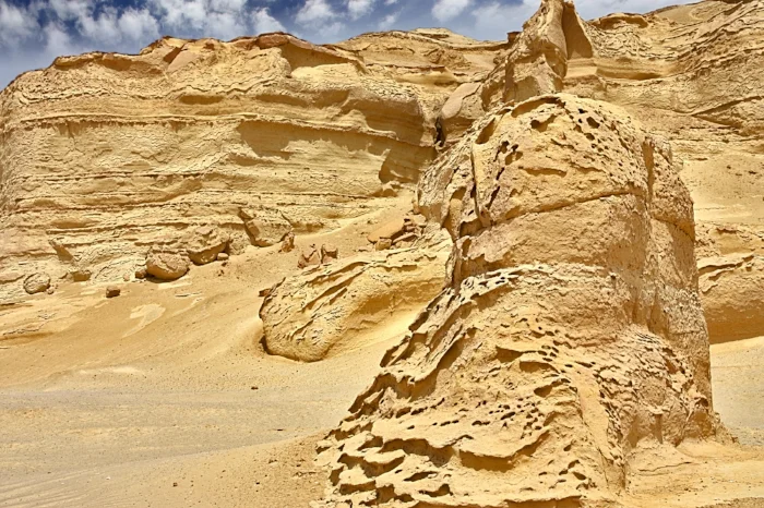 Wadi Al Hitan I