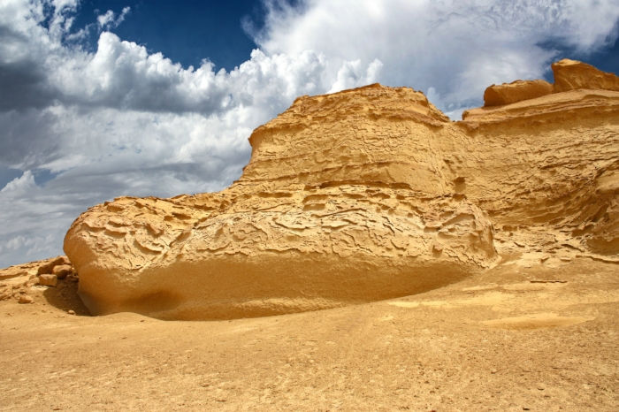 Wadi Al Hitan II