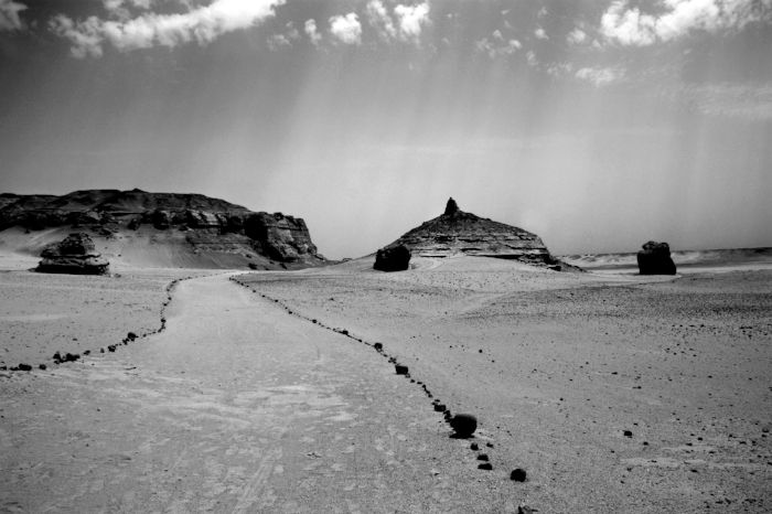 Wadi Al Hitan VI