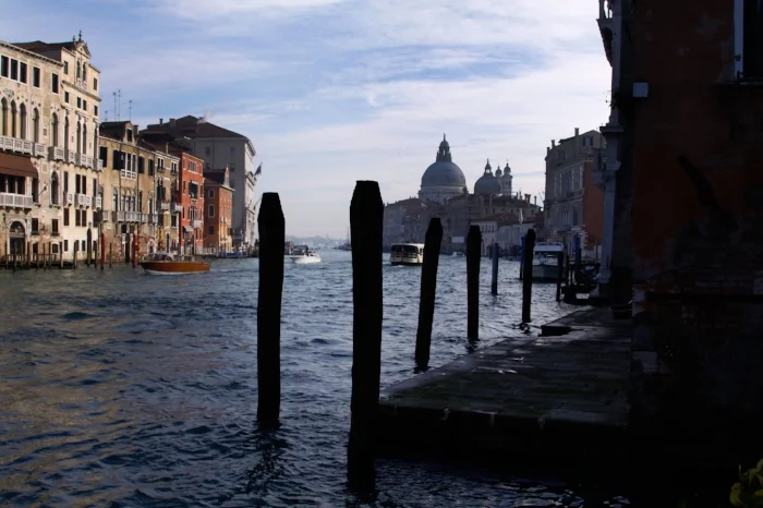 Venice II