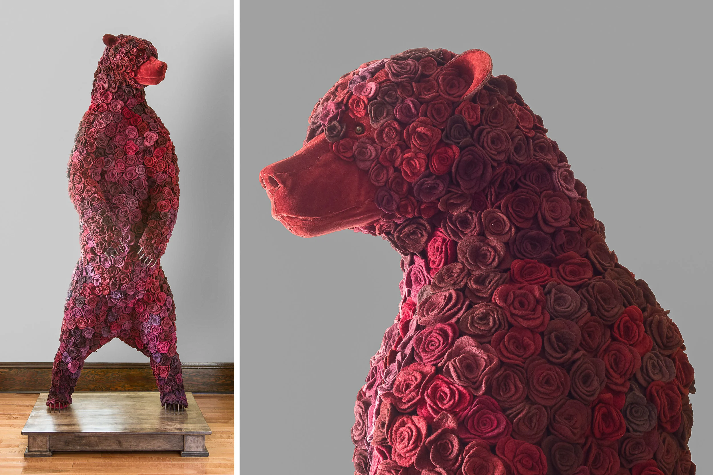 Widow, 2012, wool, cochineal dye, velvet, taxidermy form, pins and wood, 239 cm x 91.5 cm x 76 cm collection of Glenbow Museum, Calgary AB Photo: Jeff Crawford