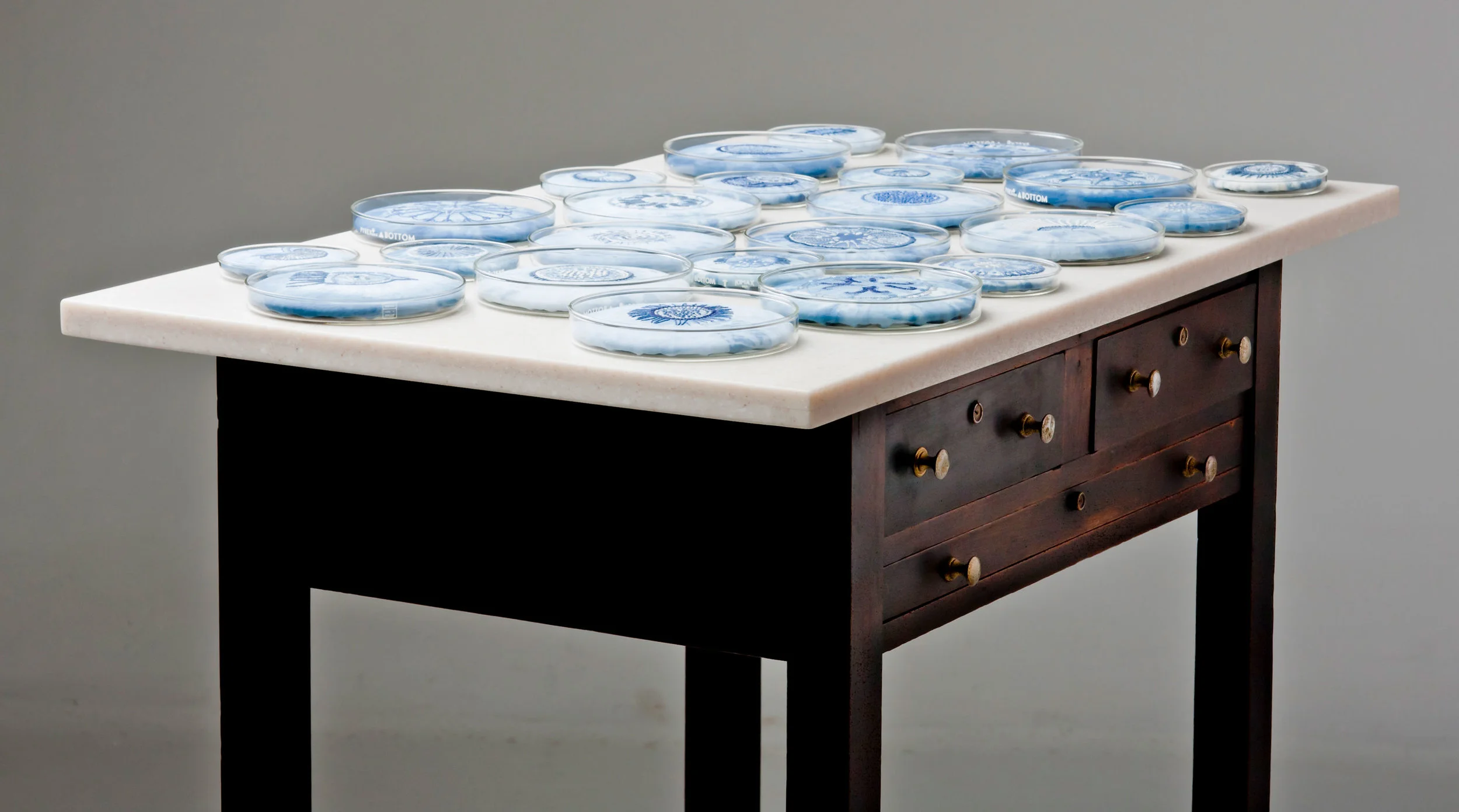 Labouratoire , indigo tie-dye and cotton embroidery on cotton and linen, glass Petri dishes, table, 2007 Photo: Jeff Crawford