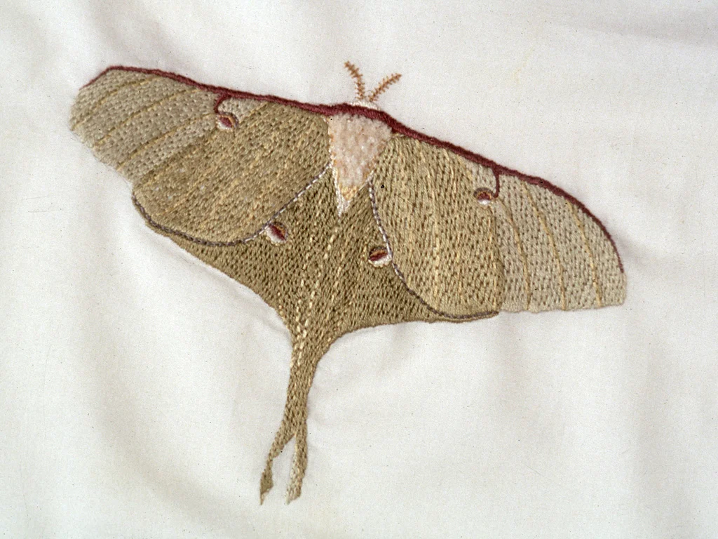 Luna Moth , 2000, embroidery on cotton handkerchief, wooden display case Photo: Geoffrey Gammon