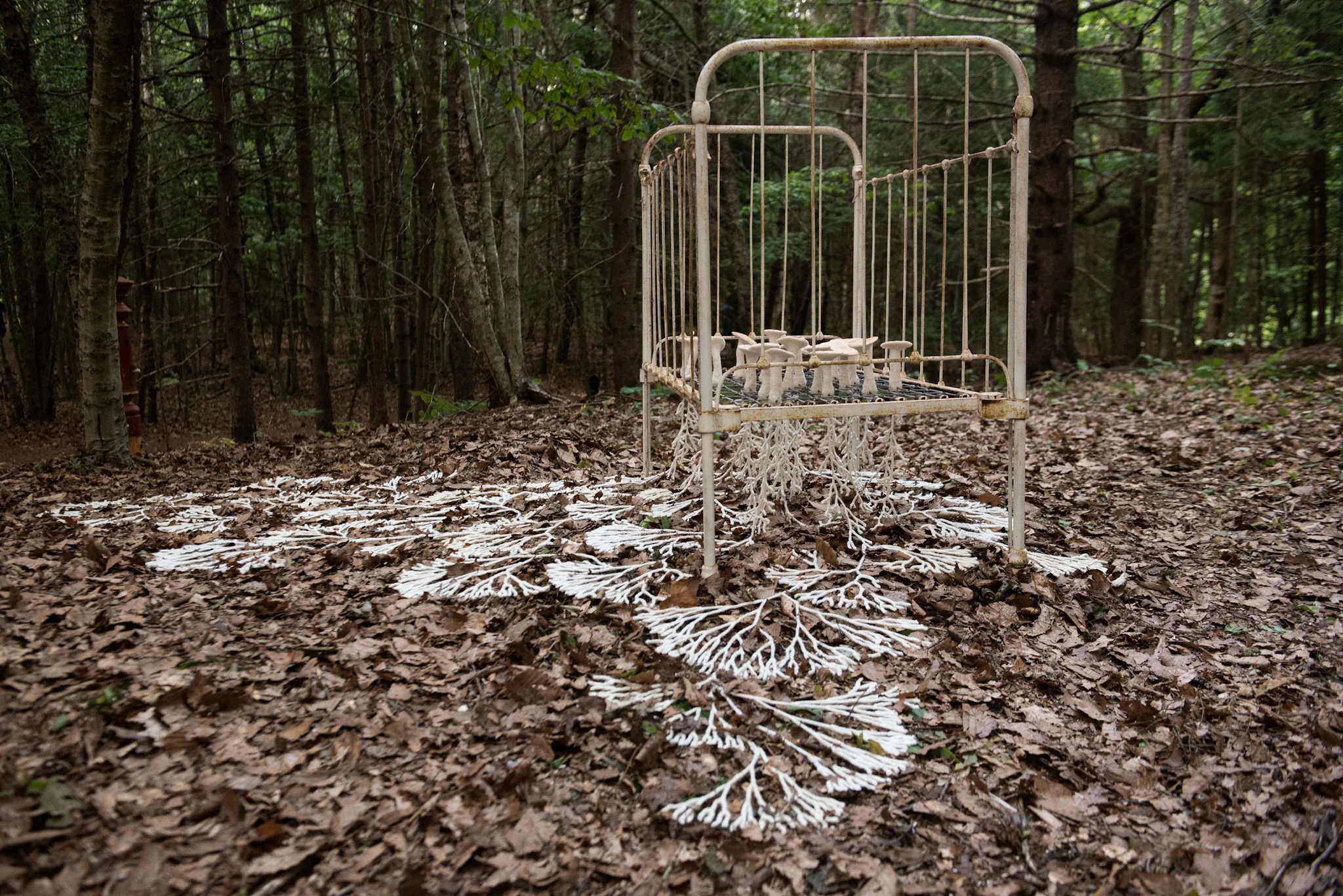 Fera Moira, installation at Art in the Open, Charlottetown, PE, 2018 Photo: Sean Landsman