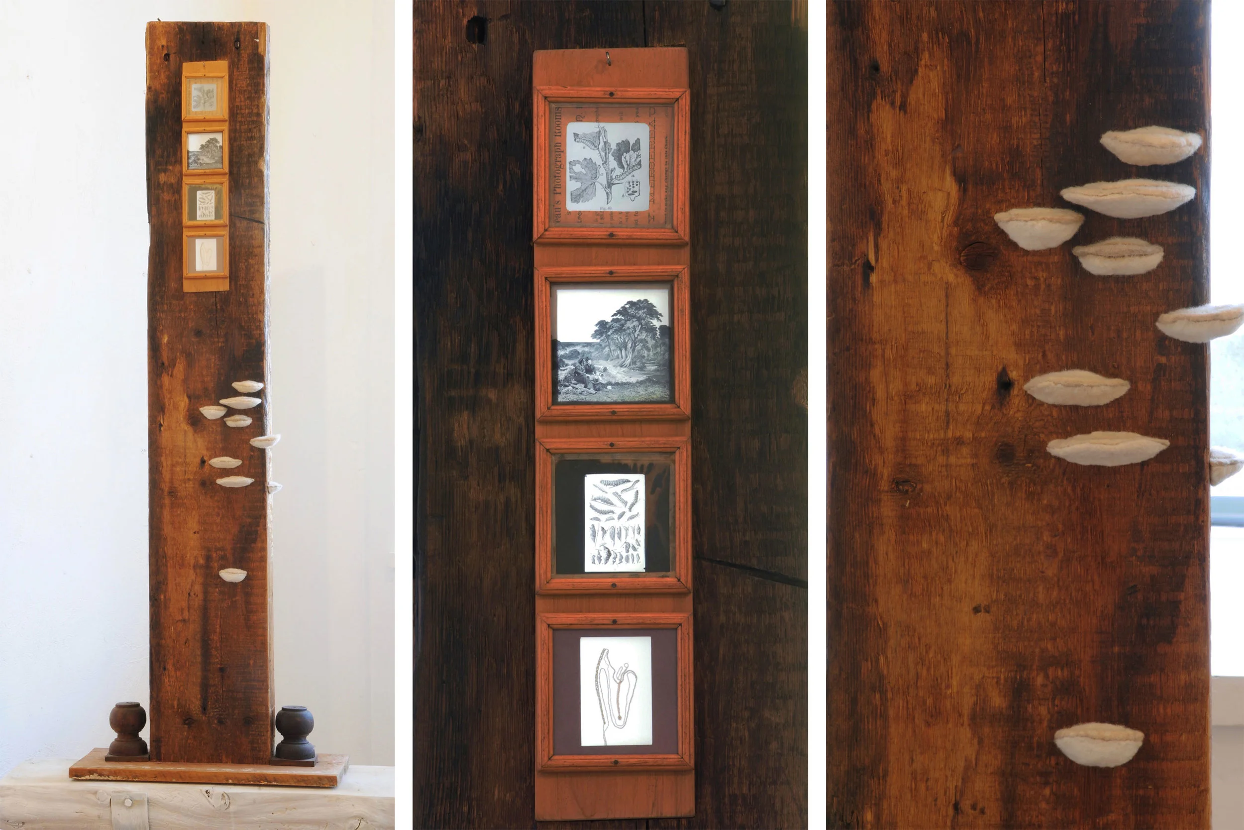 Lessons in Nature, 2015, felted wool, wood, found materials. Photo: Michael Khoury