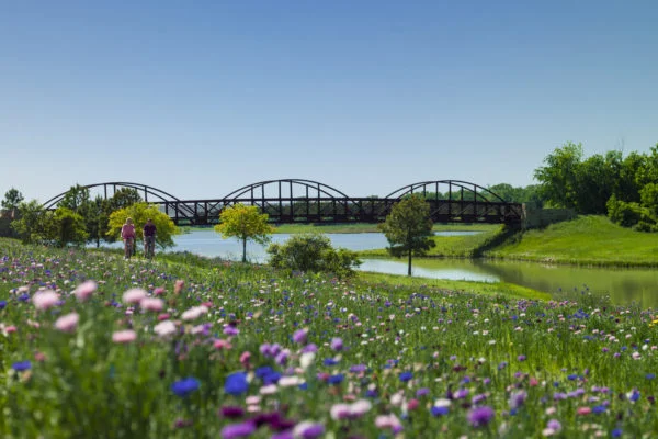 bridge.jpg