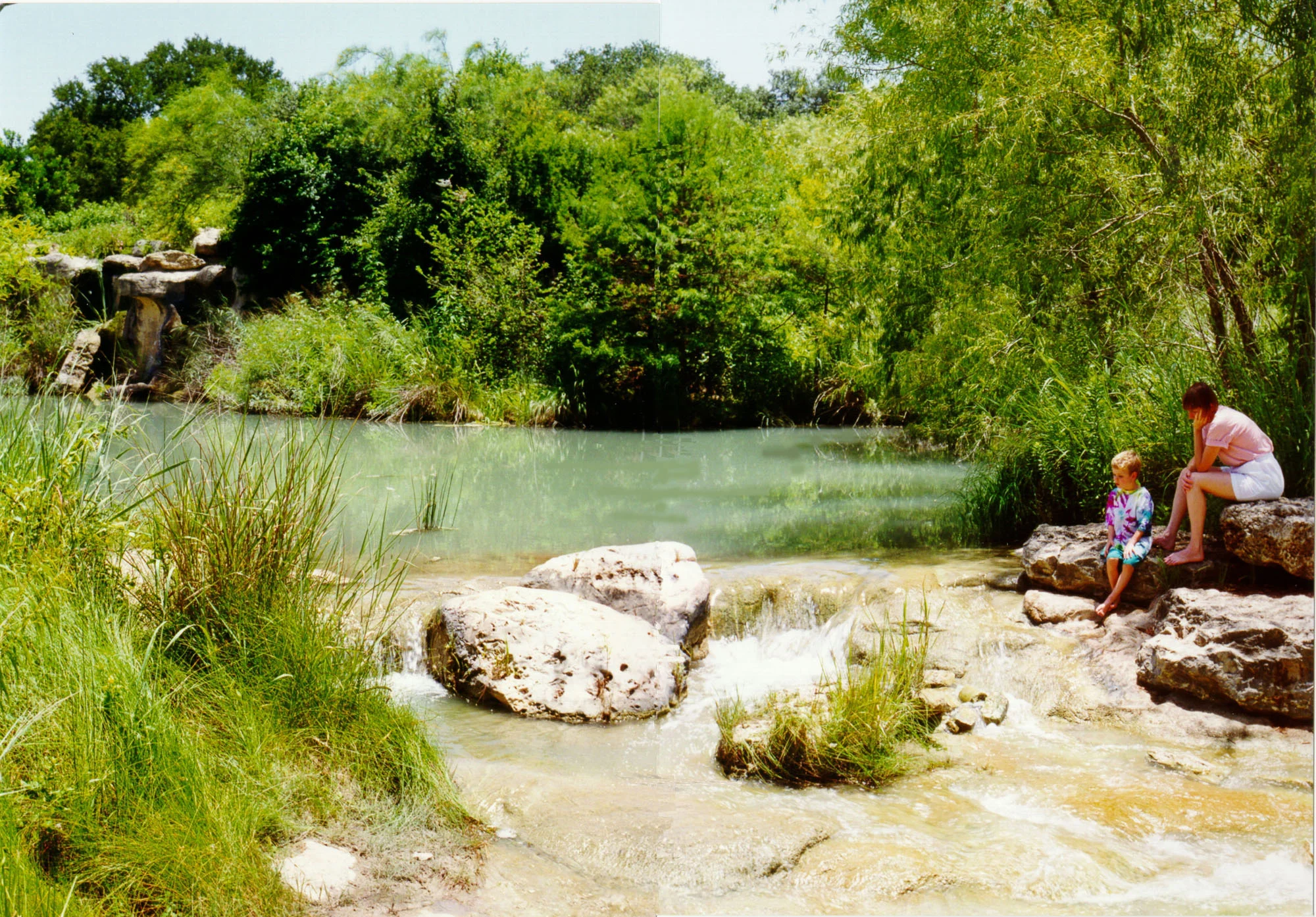 Pond.jpg