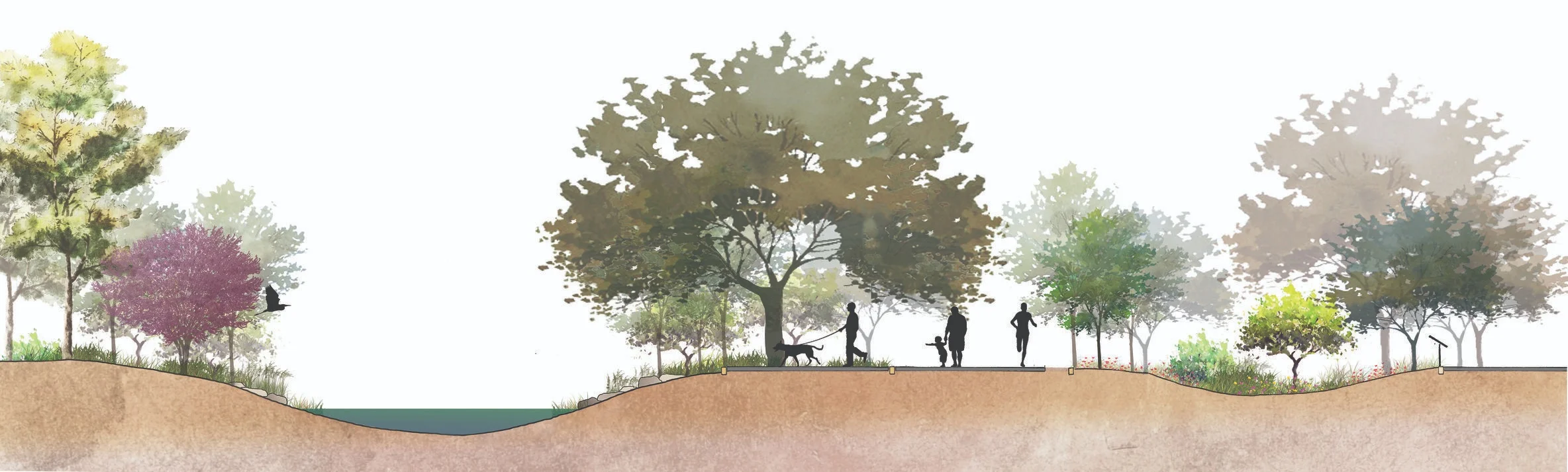 OVERLOOK+SECTION+without+overlook+and+cyclist+new.jpg