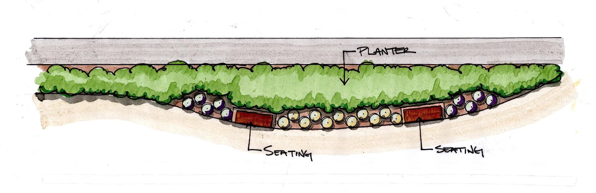 TRANSITION AREA PLAN.jpg