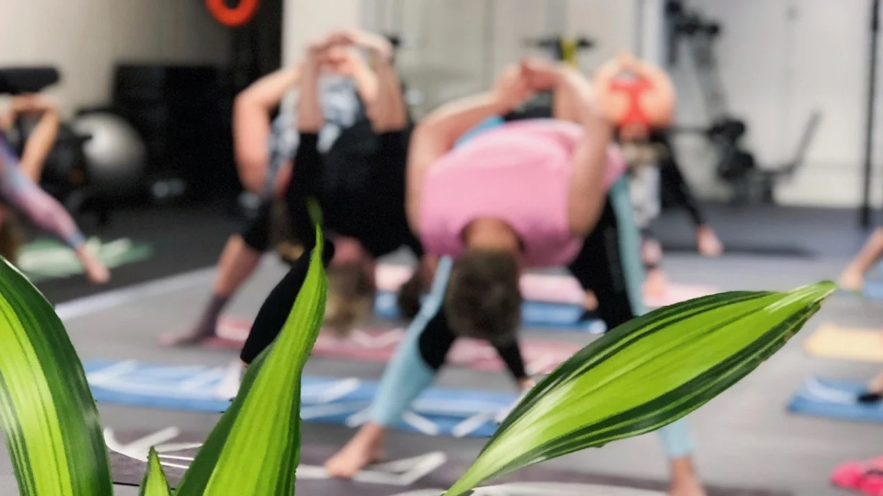 YOGA hemsida - 1 (1).jpg