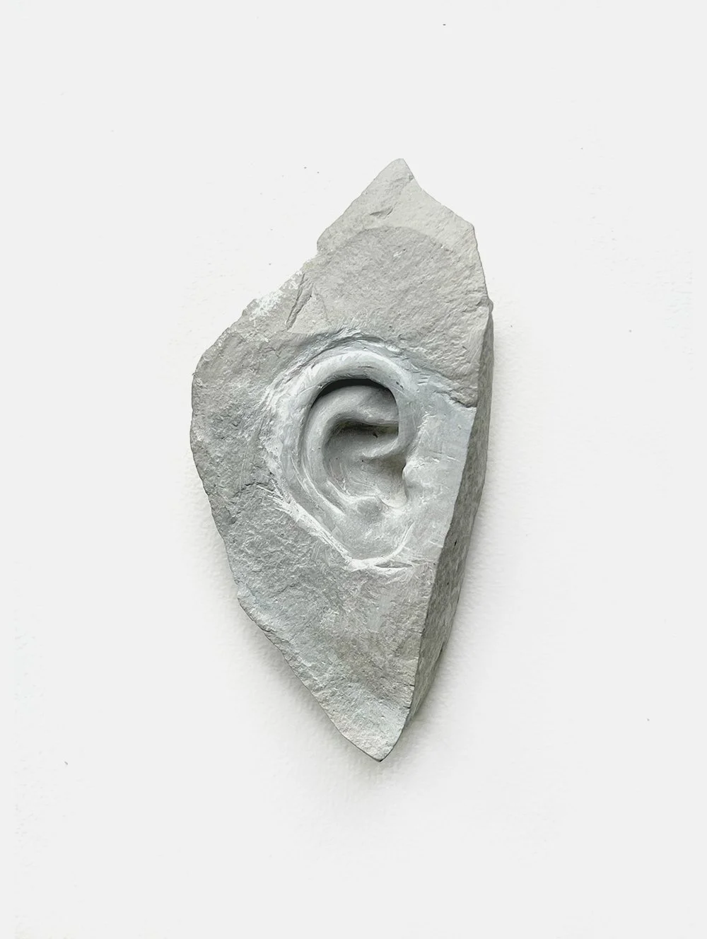 004_oreille.jpg