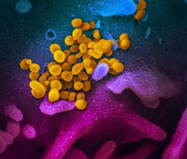Coronavirus: Regione valuta misure accessorie ai 25 mln già previsti