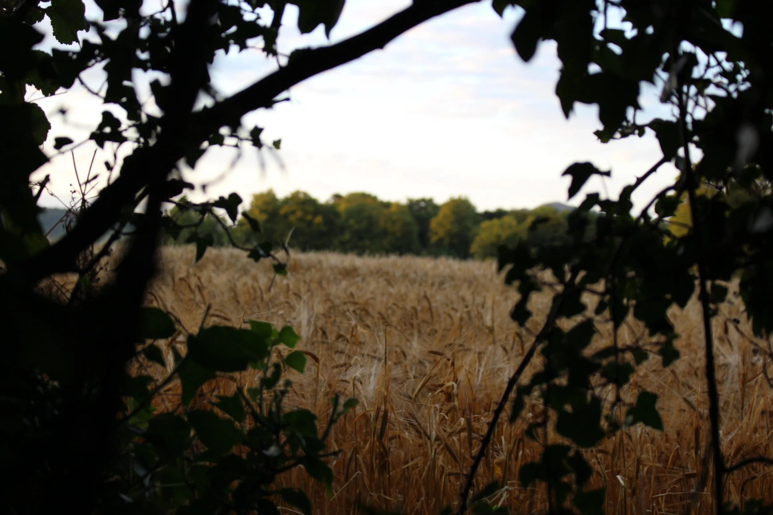 lover's leap, enniskerry