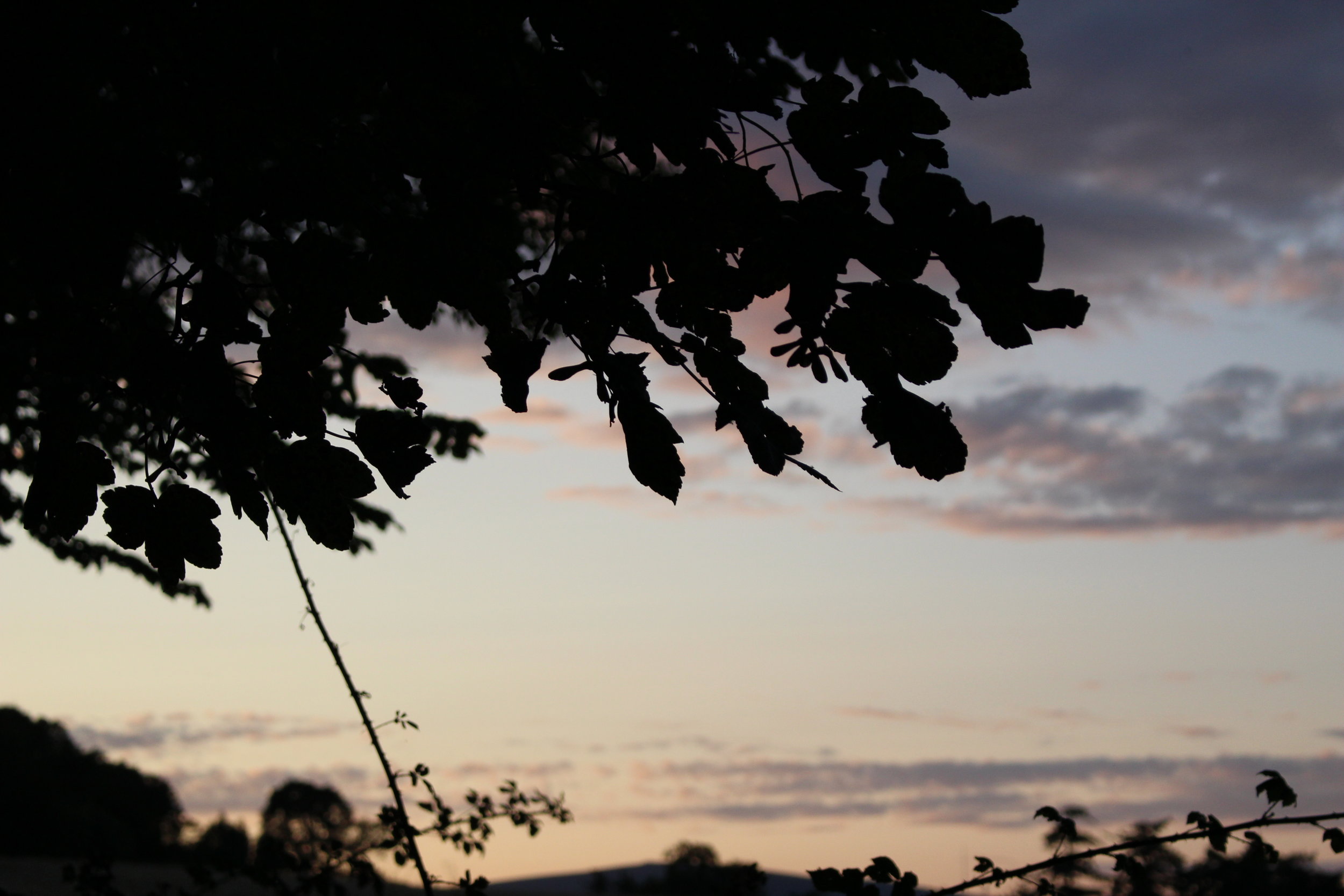 lover's leap, enniskerry
