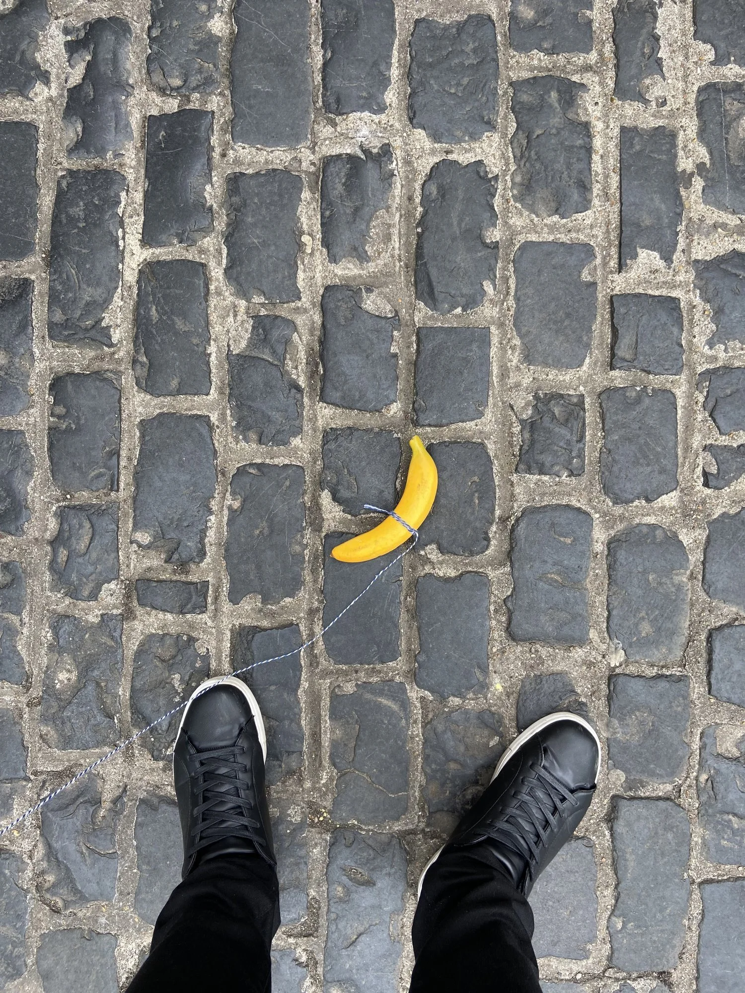 IMG_6992.jpeg