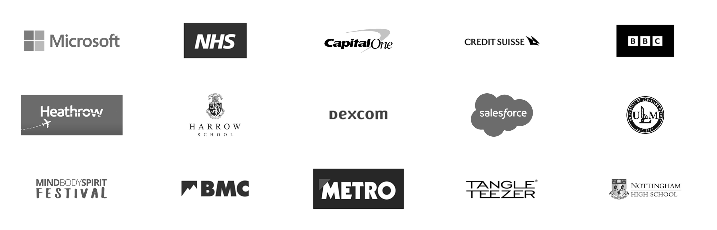 Organisations Ben Aldridge has spoken for, including Microsoft, NHS, Heathrow, Capital One, Salesforce and Tangle Teezer
