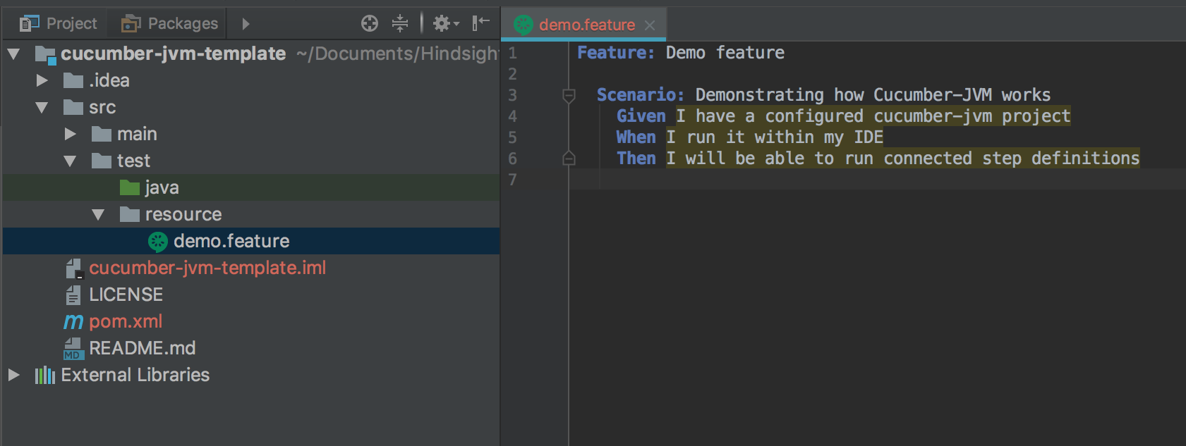 demo.feature screenshot - cucumber testing java - cucumber java