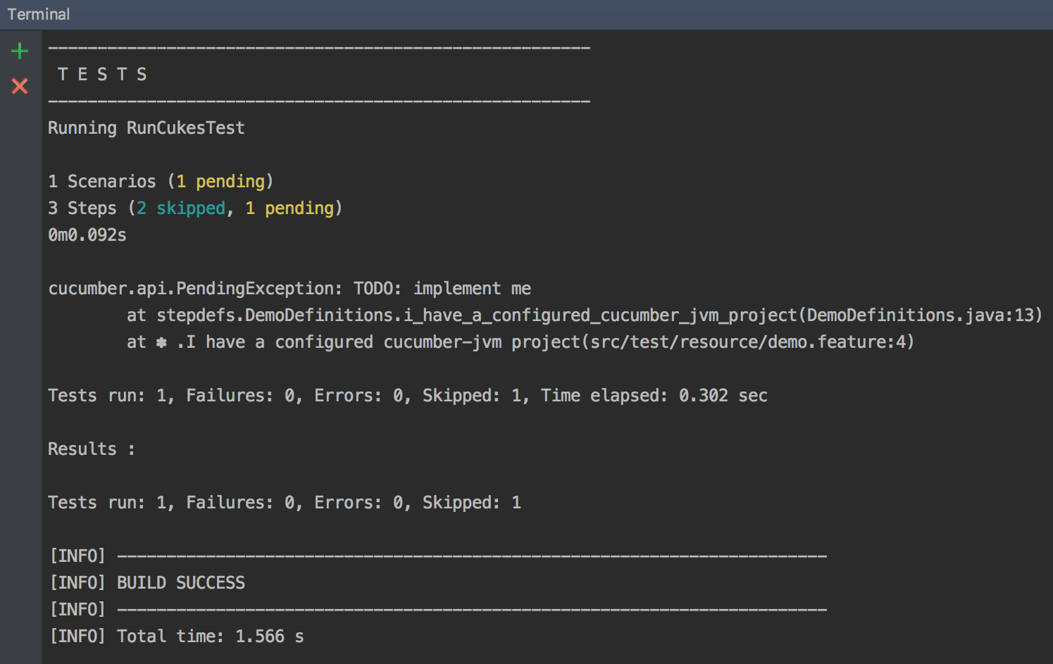 TESTS terminal screenshot - cucumber testing java - cucumber java