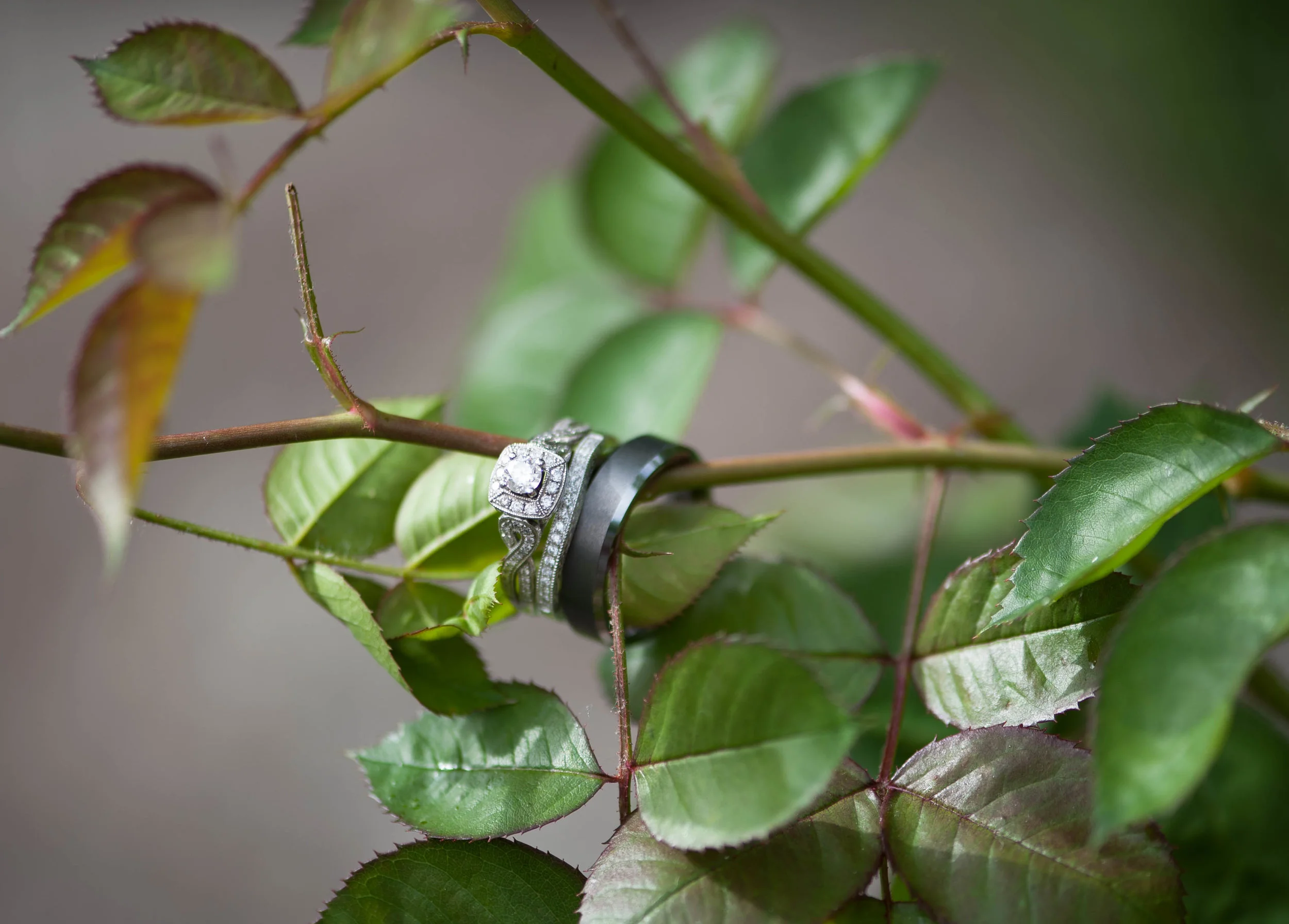 mainowedding-1-5.jpg