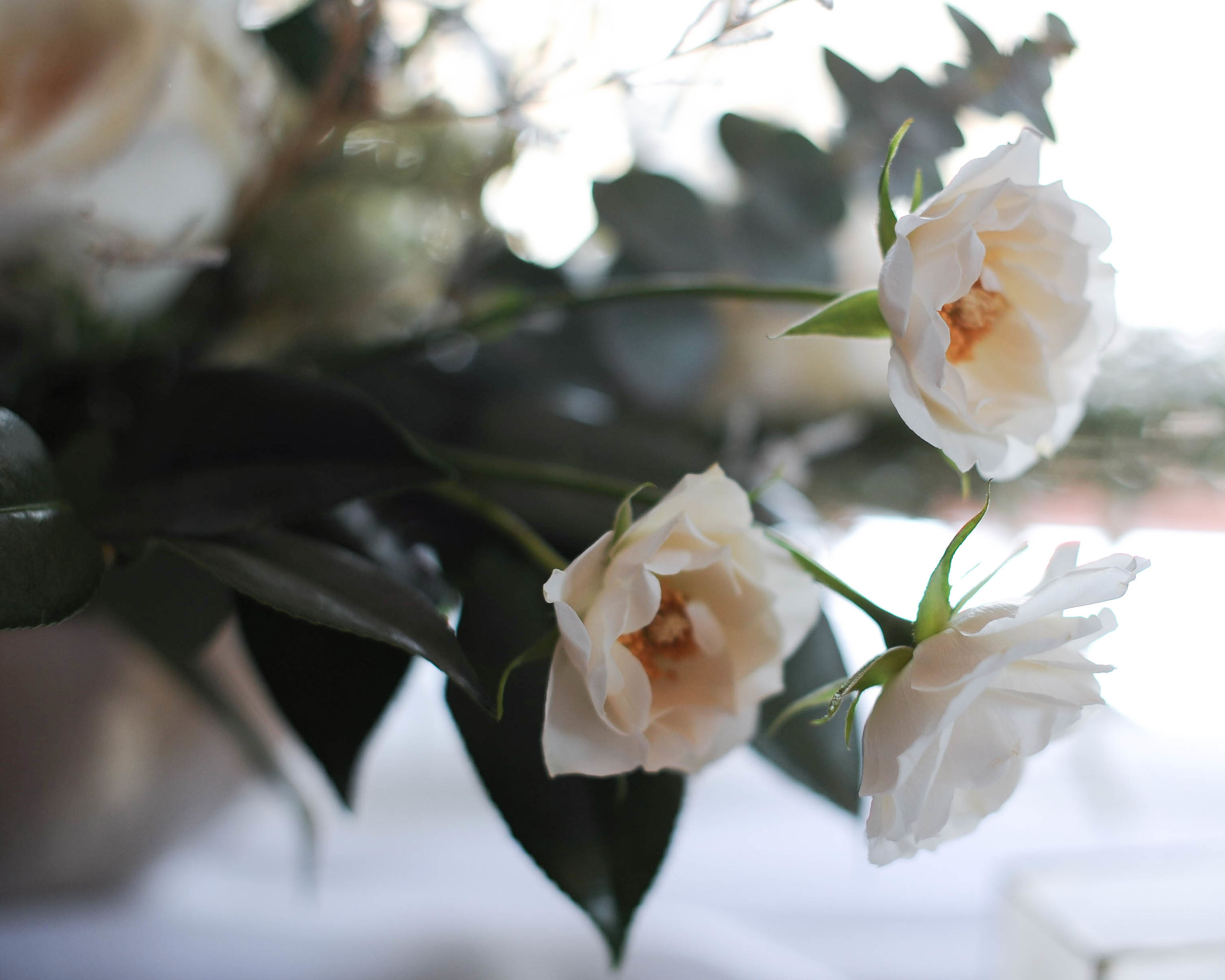 styledshoot-1-16.jpg