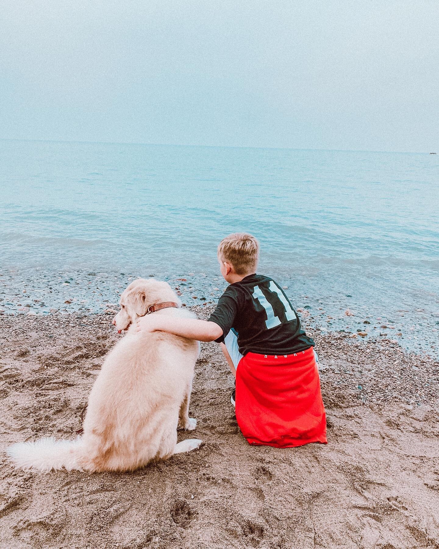 Sometimes you just need a DOG to make everything better. AMIRIGHT? 
.
No, no we didn&rsquo;t get a dog(MY KIDS WISH), this is my besties @yourdreamsmyseams dog 🐕 that we took on a walk to our favorite place to hike, 🍁 hunt and throw rocks into the 