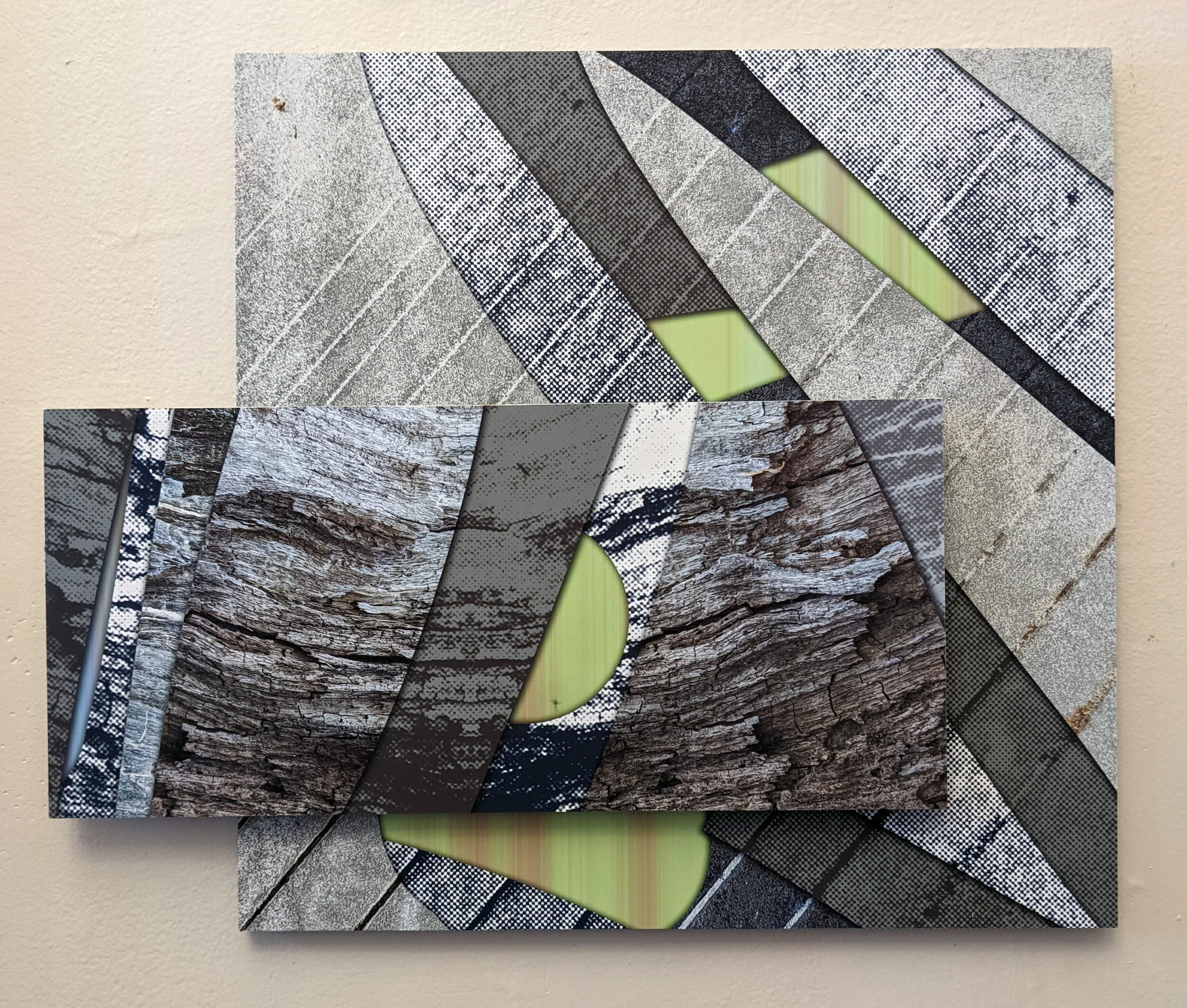LaRose_RPIGround_Bark.jpg