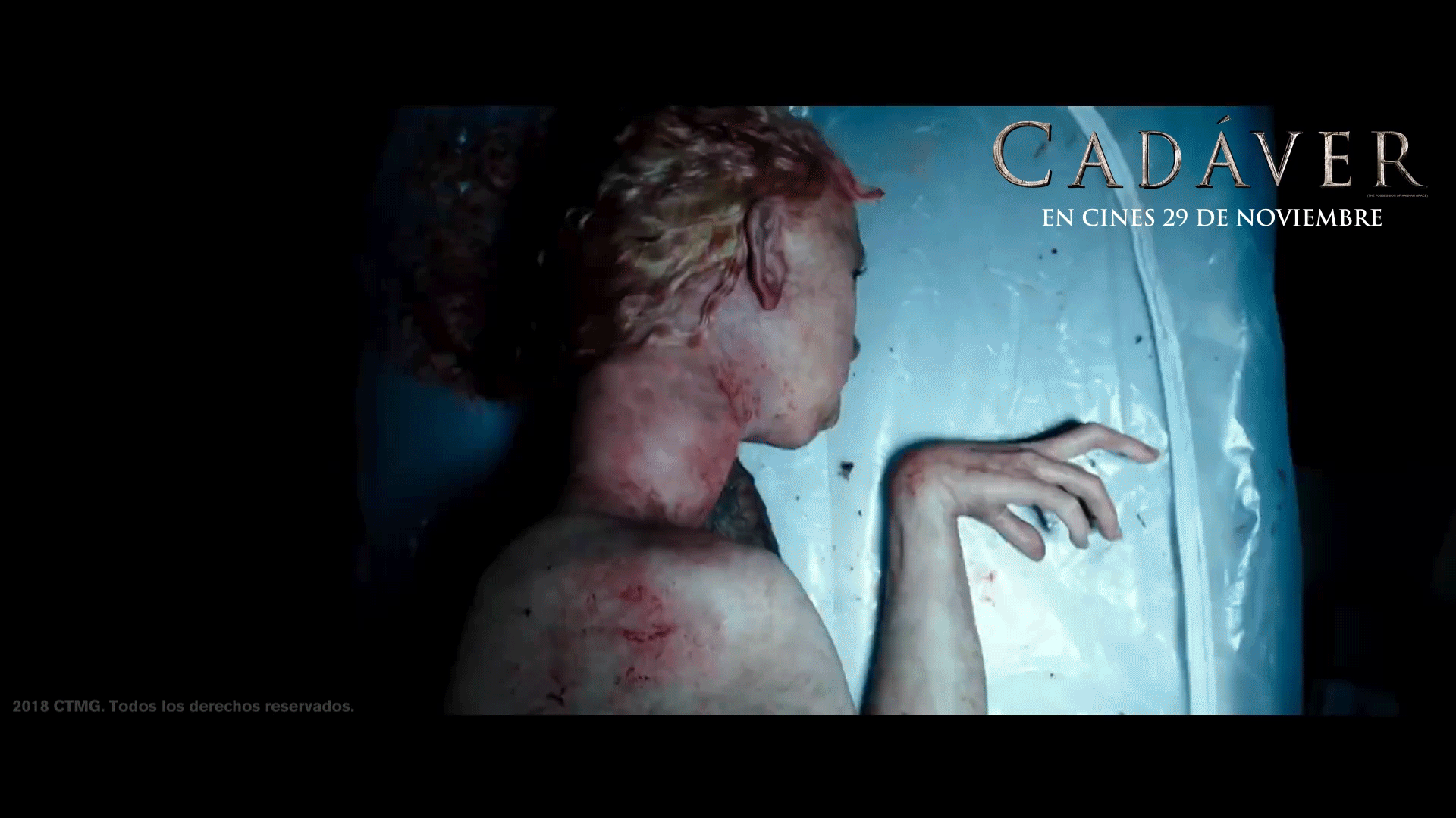 CADAVER-FB-23-NOV.gif
