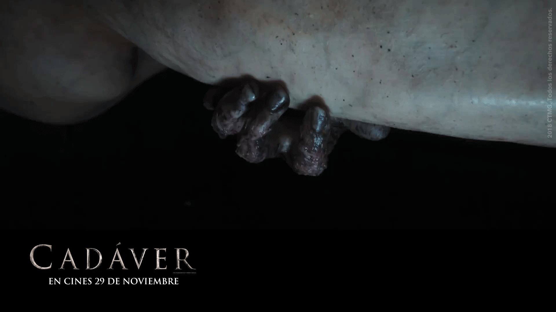 CADAVER-TW-20-NOV.gif