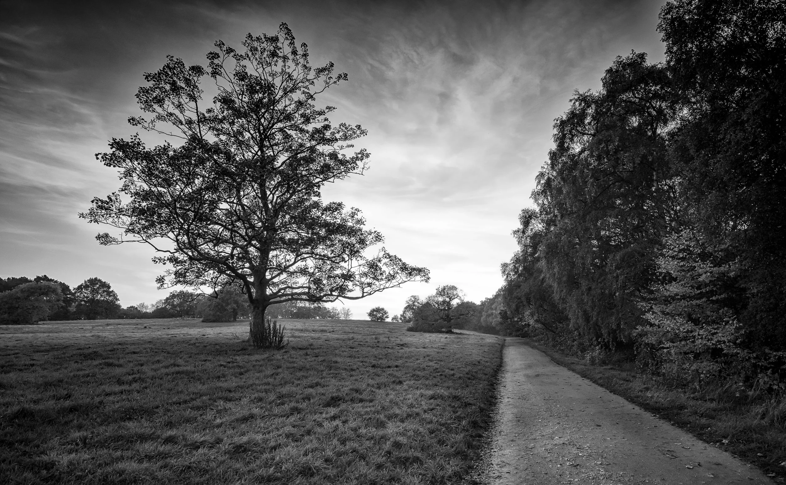the path homeward