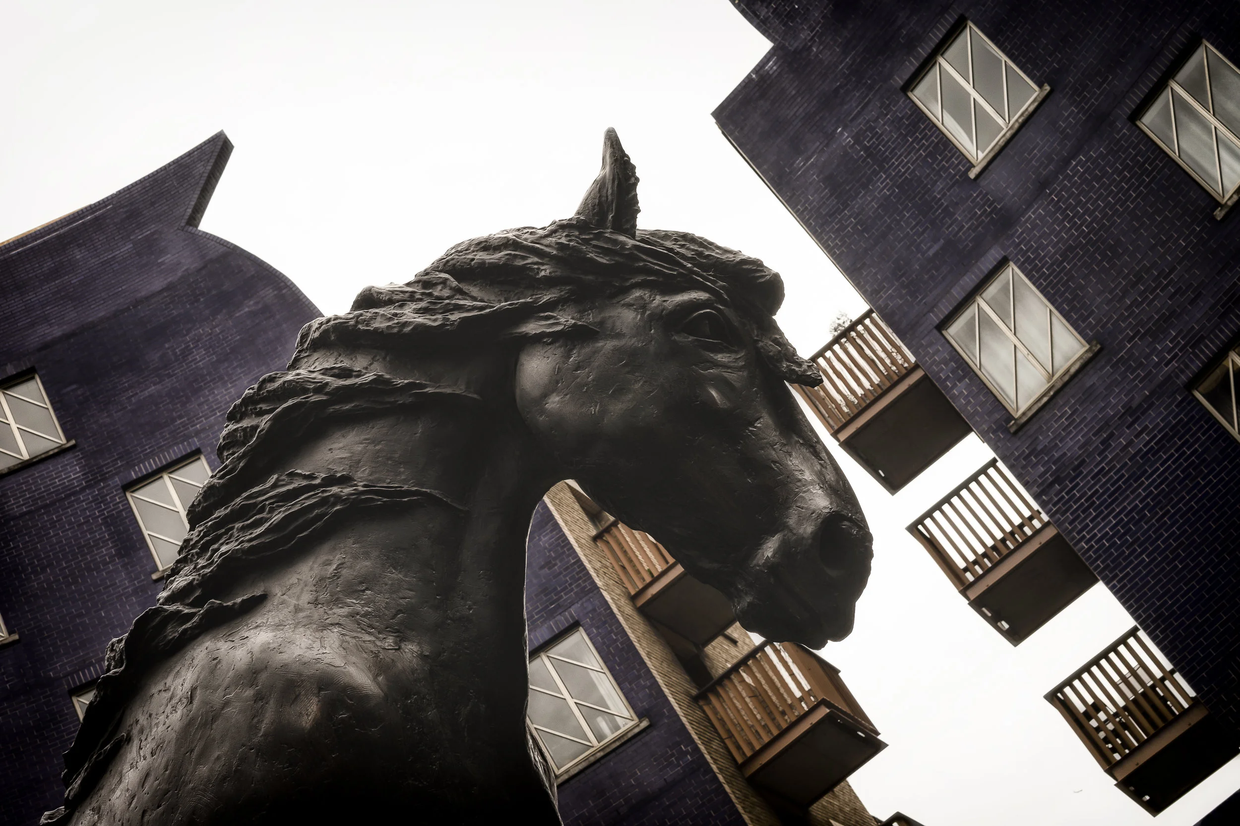 A horse, a horse, my kingdom for a horse