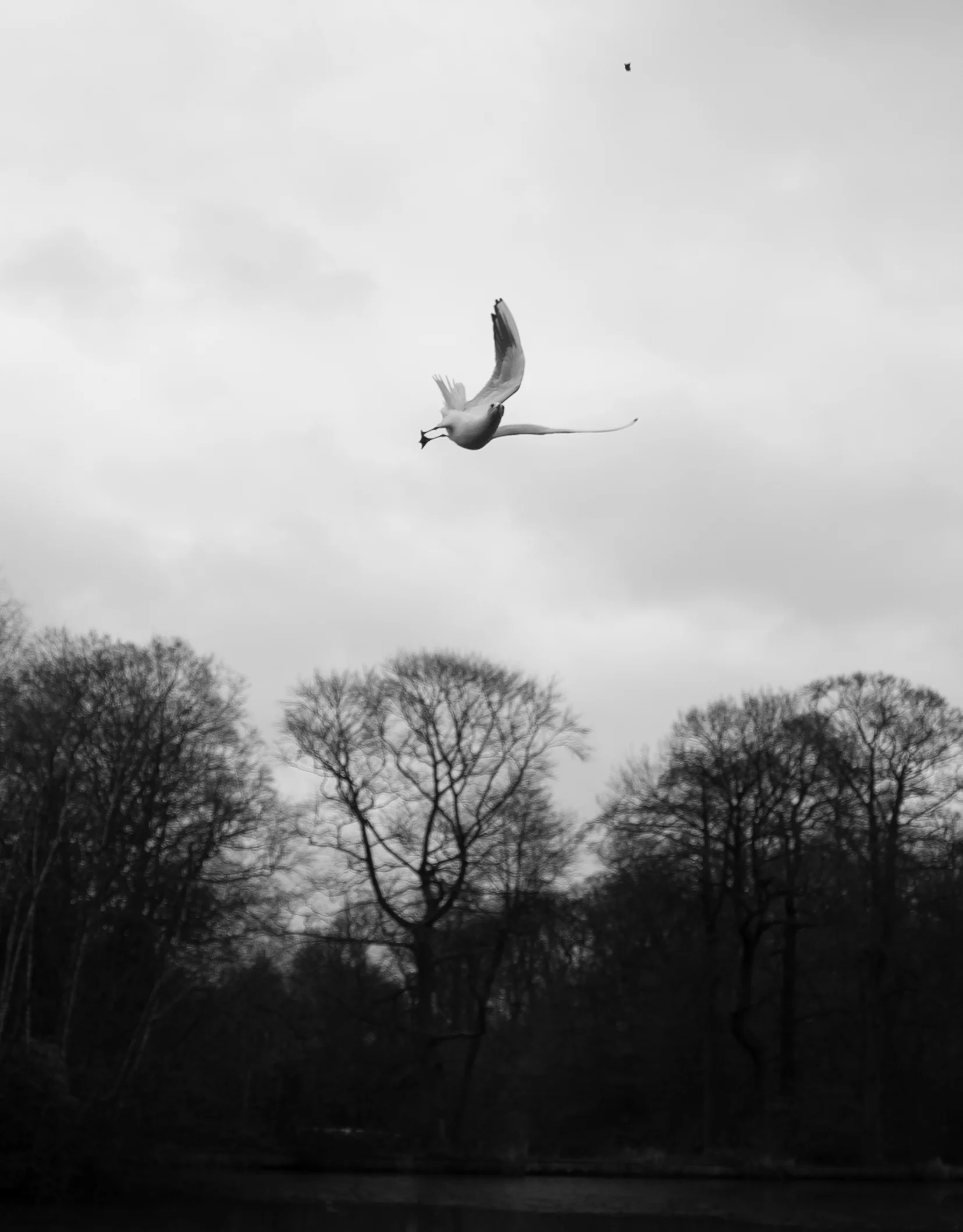 Catch!