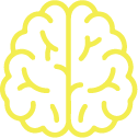 brain1.png