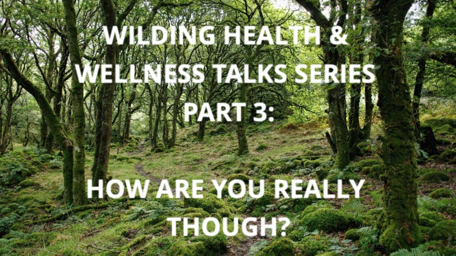 Next Talk 13th March