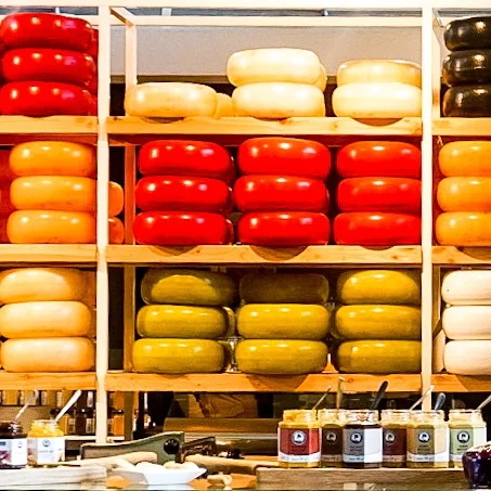 Colourful Dutch Cheese Rounds in red, yellow, white and green on shelves. The in front of shelf has cheese tasters and chutneys for customers