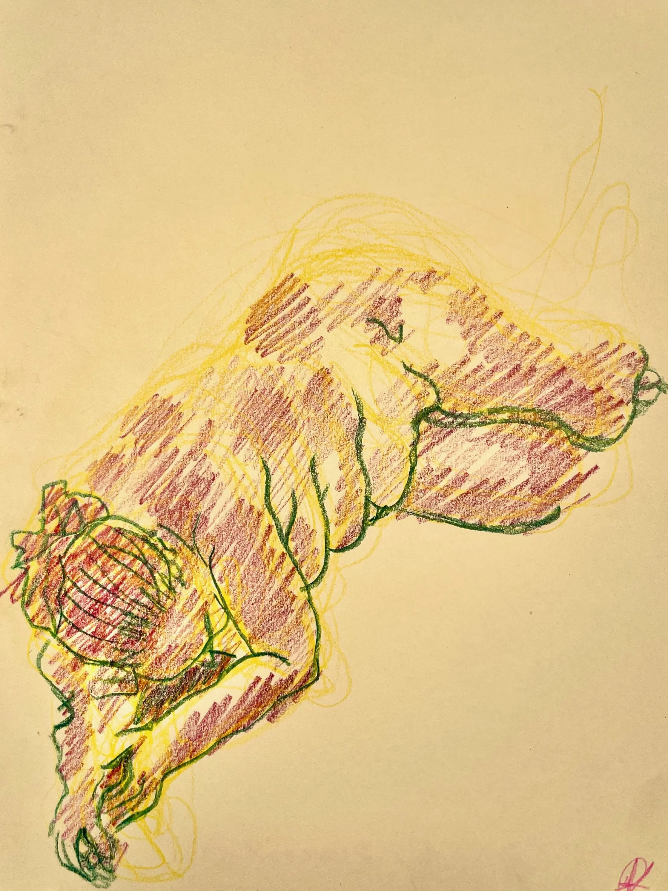 kroki, drawing, A4, 2024, cream paper_cecilia ulfsdotter klementsson2.jpeg