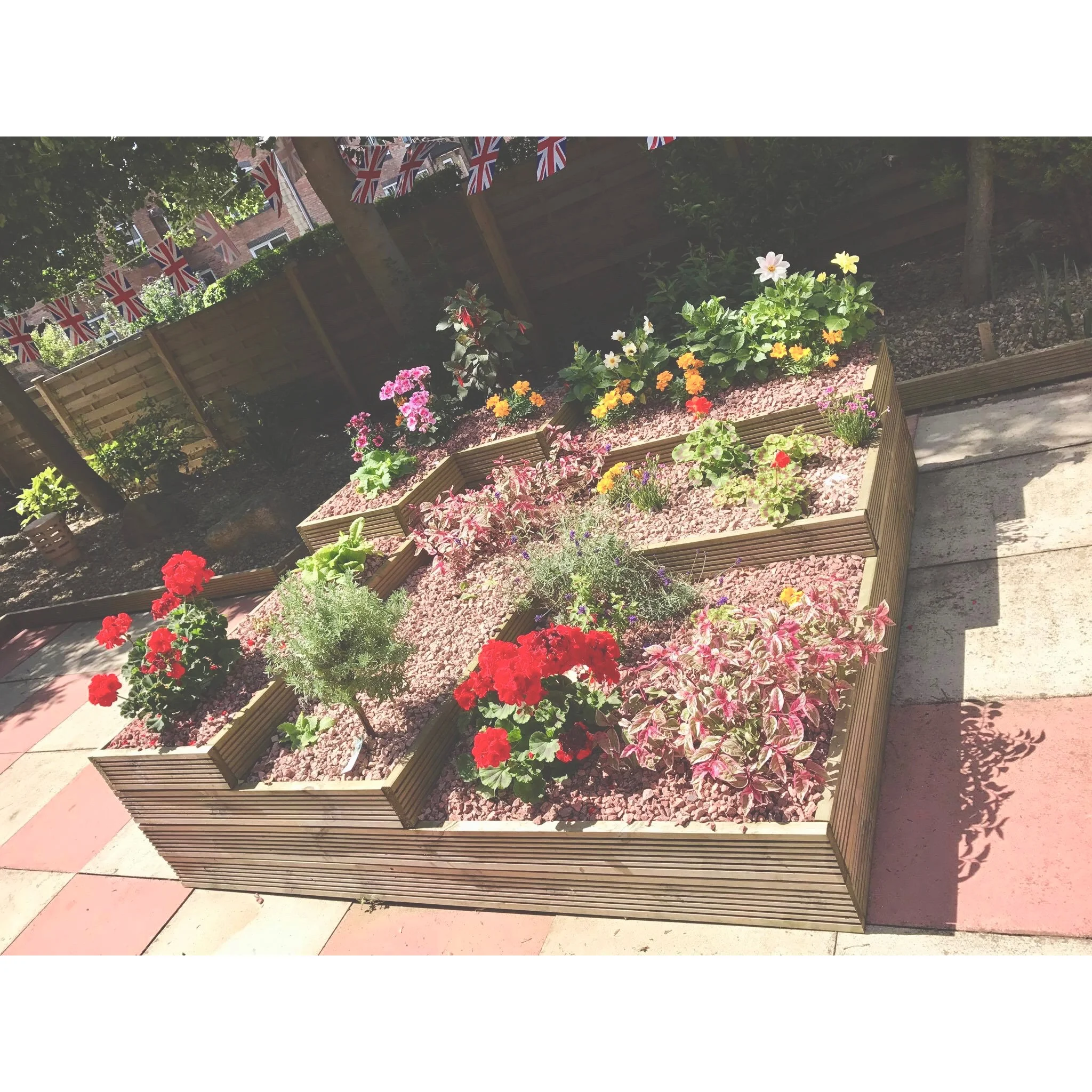 Whitagram-Image.jpg