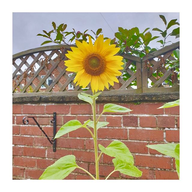 Summer is definitely in our top four seasons of the year! 🏅 Long days 🌇 and short nights 🌃. No clouds and blue skies 🏞. Sun shining ☀️ and water glistening. Fresh lemonade 🍋 and ice cream 🍦 melting. The only downside is it doesn’t last forever! 😭 However, our residents took advantage of the limited summertime, managing to cram in plenty of activities and events. So many I couldn’t keep up! Don’t panic though, I captured some highlights for you! 🥳 Make sure you you visit our Activity Blog page for more details: https://www.ashfieldcarehome.com/activitiesblog
