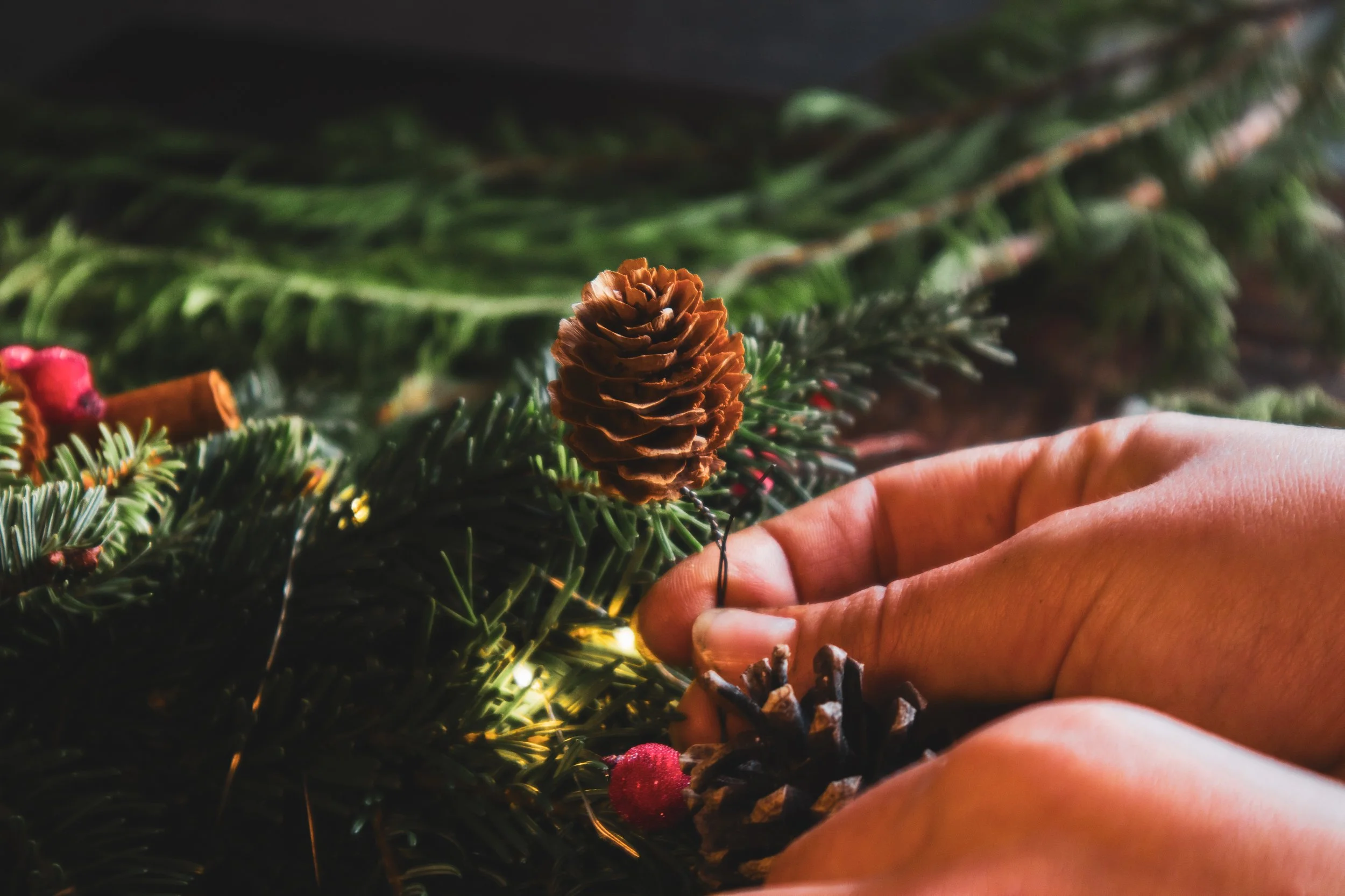 Ashfield_Xmas-3.jpg