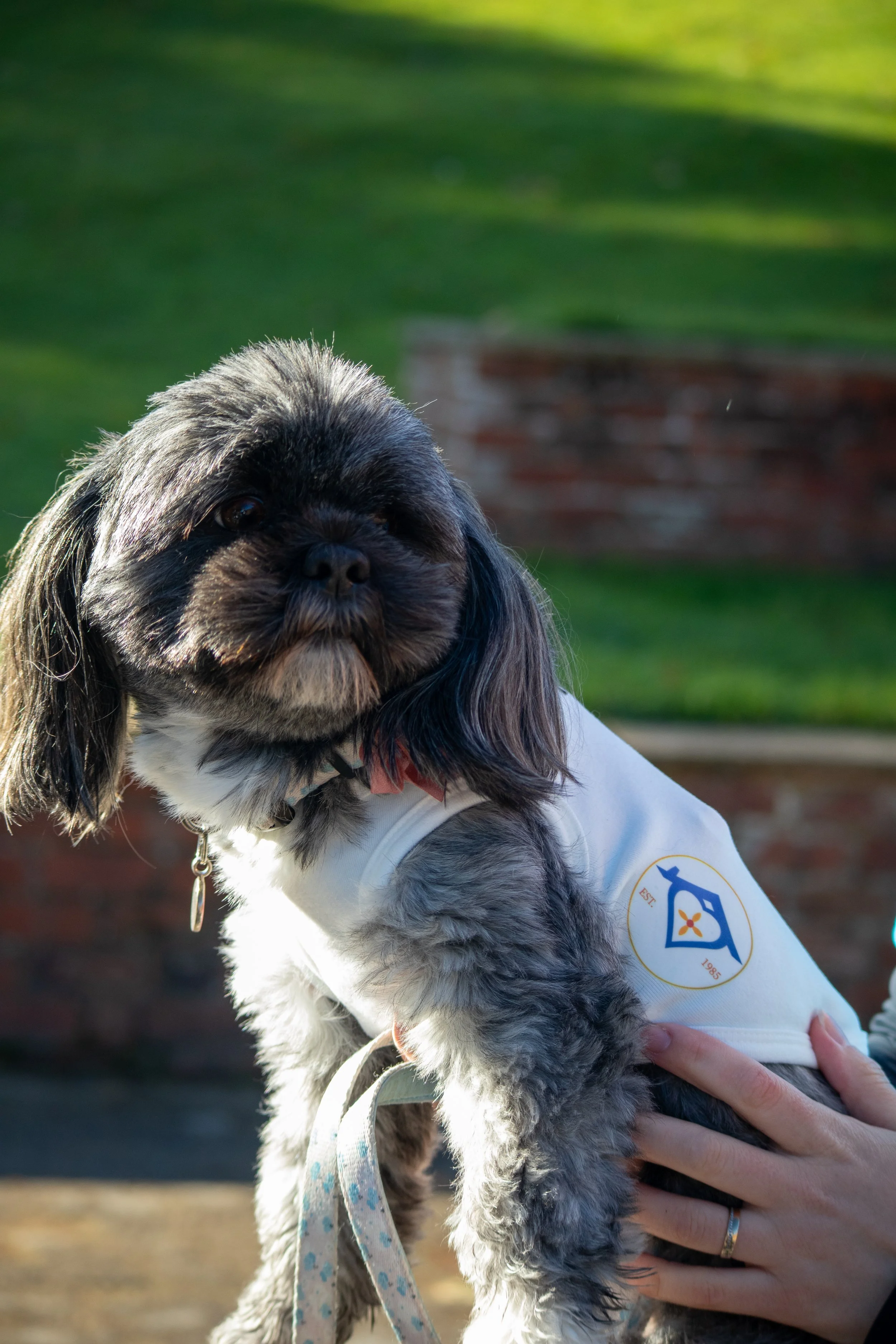 2026_LeedsMemoryWalk-18.jpg