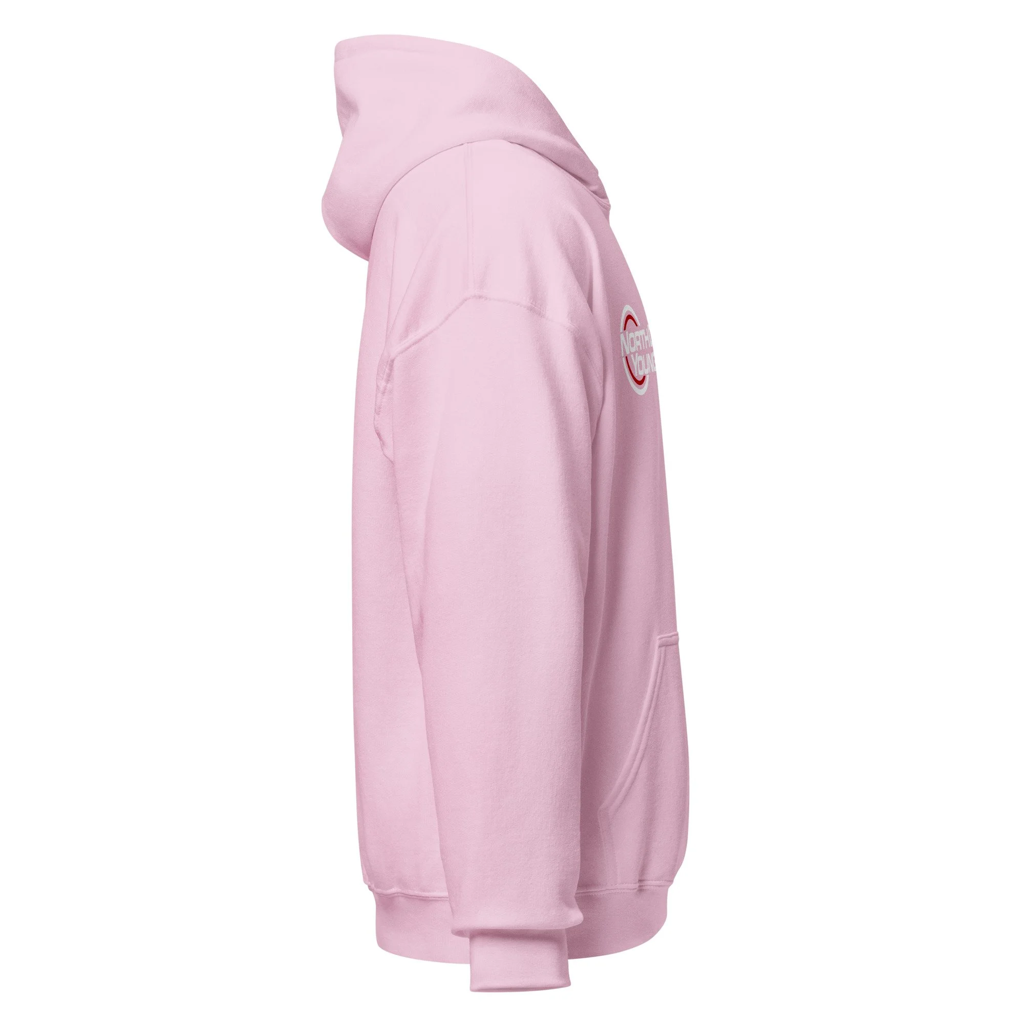 unisex-heavy-blend-hoodie-light-pink-right-69b5e04436555.jpg