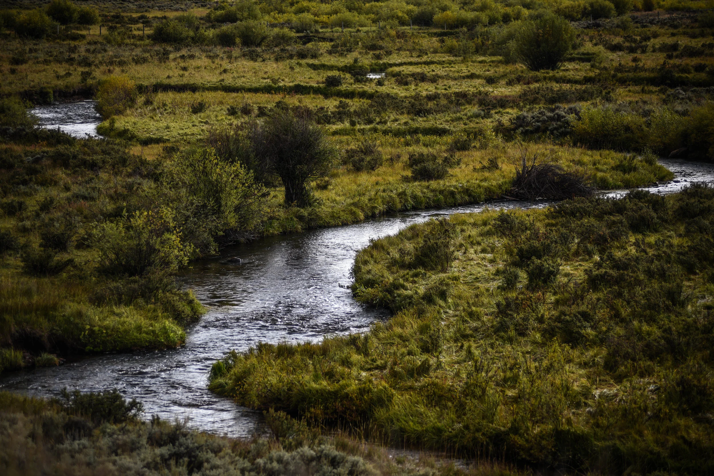 DSC_6072.jpg