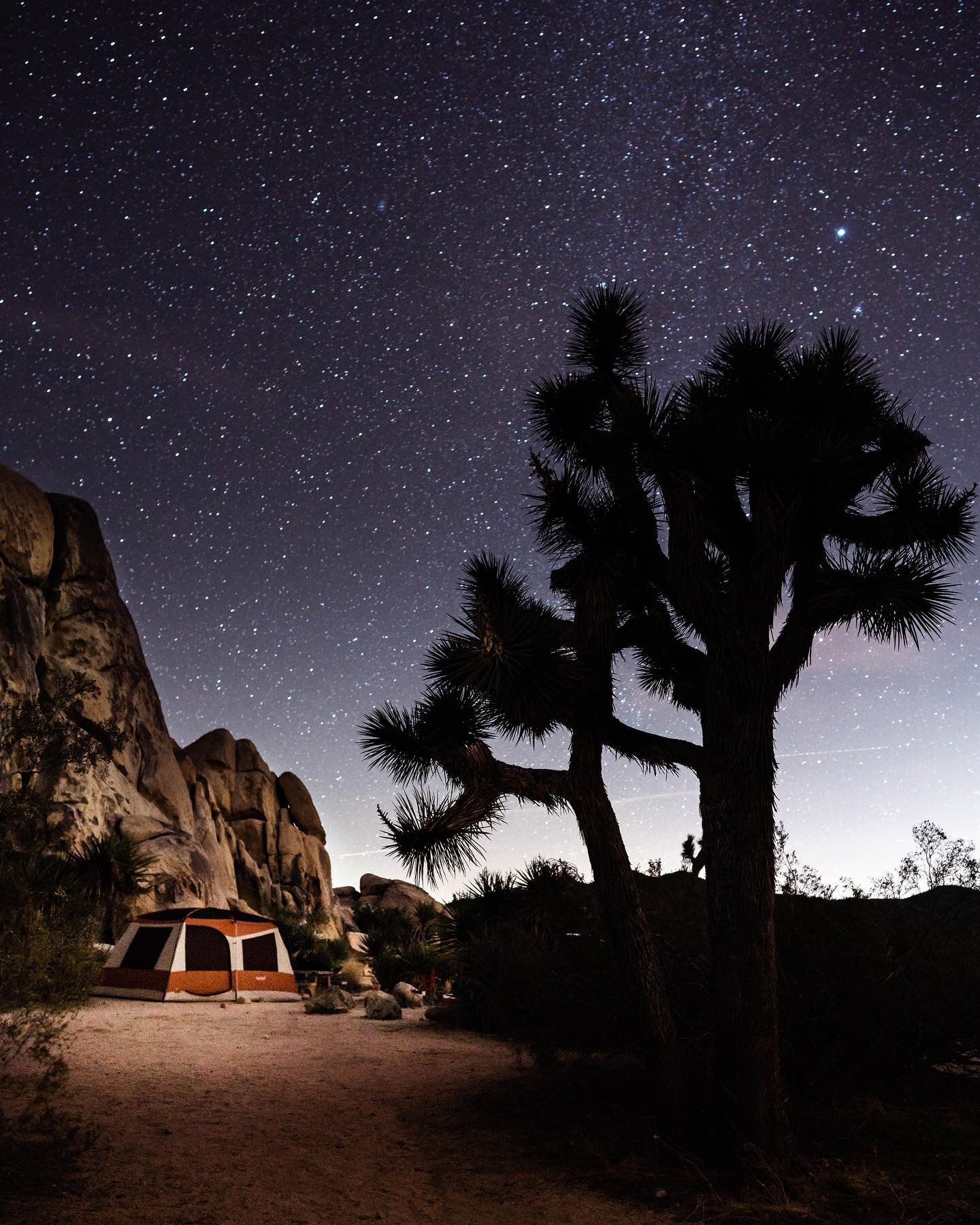 It&rsquo;s been a heck of a year! Hoping you all made the most of 2020 and wishing you all a happy and safe start to 2021. This photo is one of my favorites of the year &mdash; February 2020 // Joshua Tree, CA