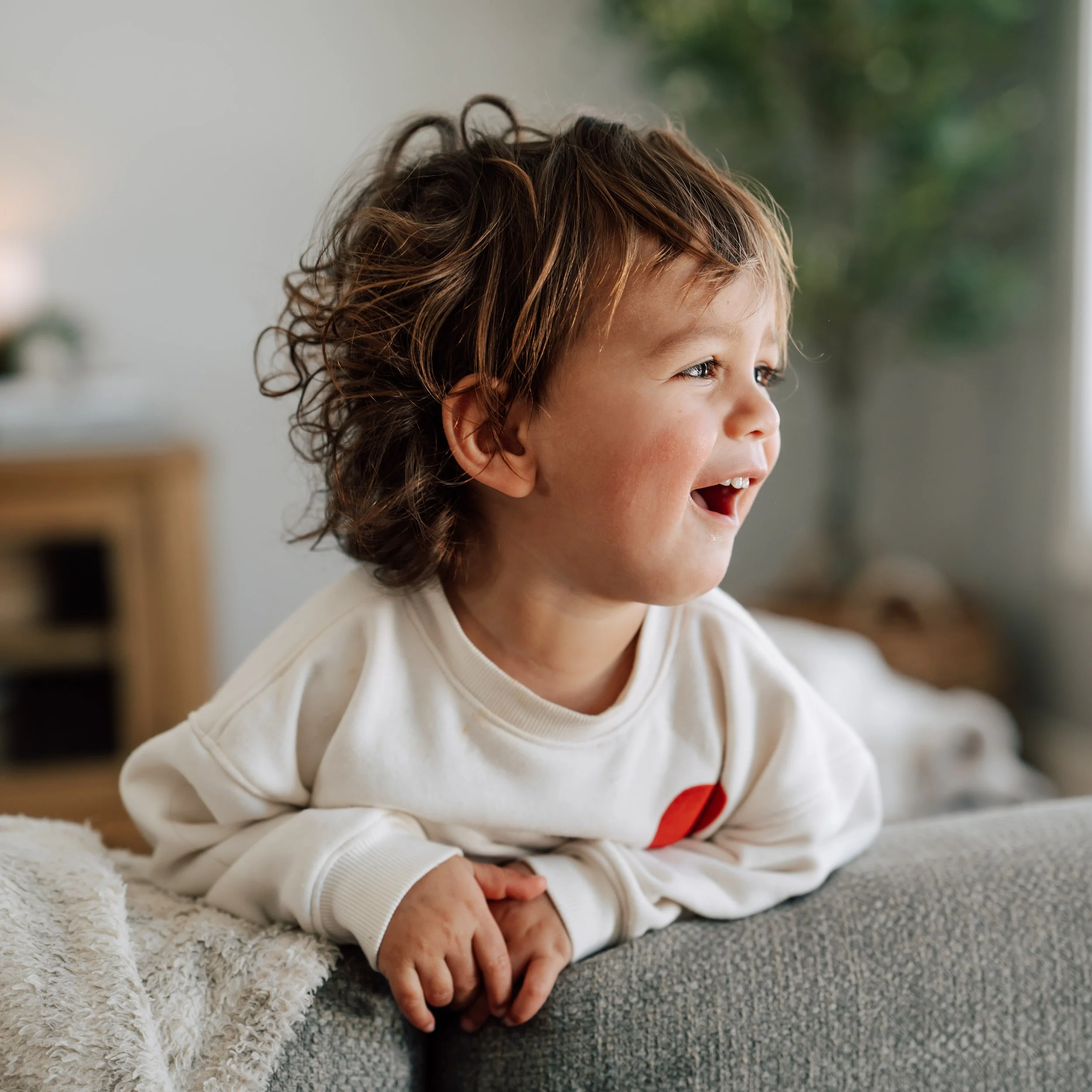 denver photographers family photos toddler_DSC07800.jpg