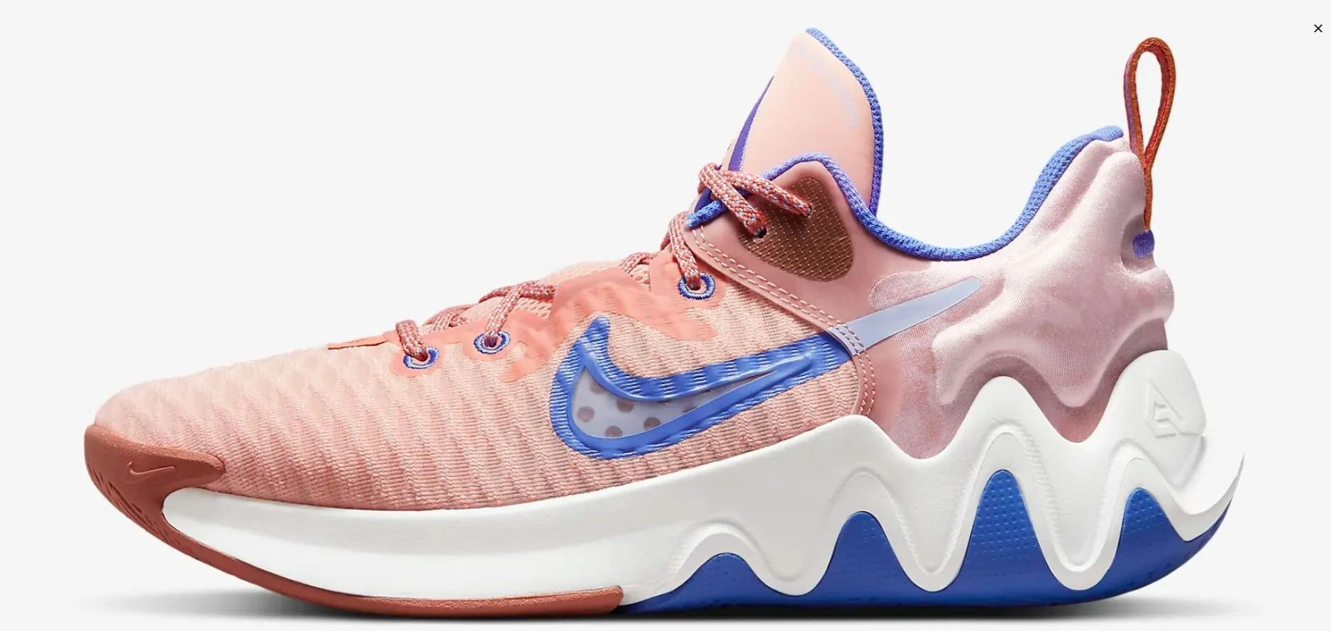 Las 5 mejores zapatillas de baloncesto NIKE BARATAS [2022] — Crónica  Suplente: Podcast NBA, Zapatillas de Basket, Fantasy NBA